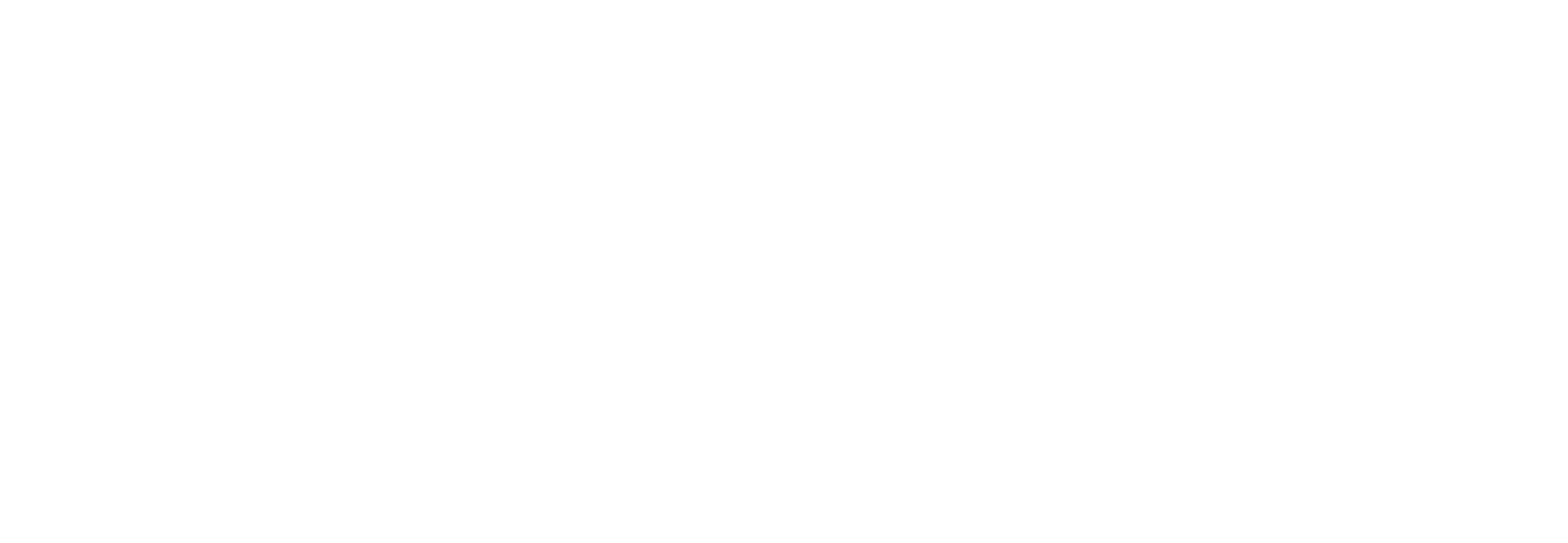 Logo White